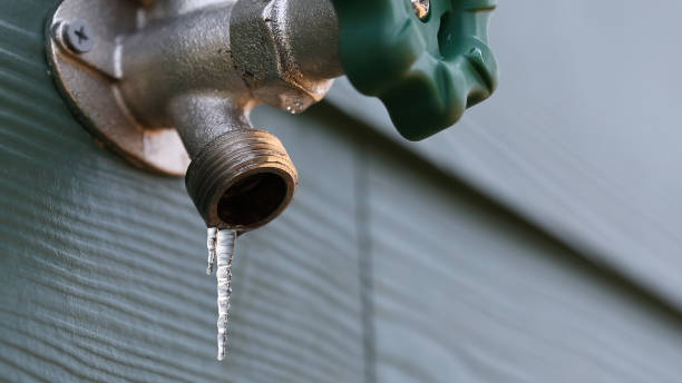 Best Leak Detection Services  in Hudson, IL